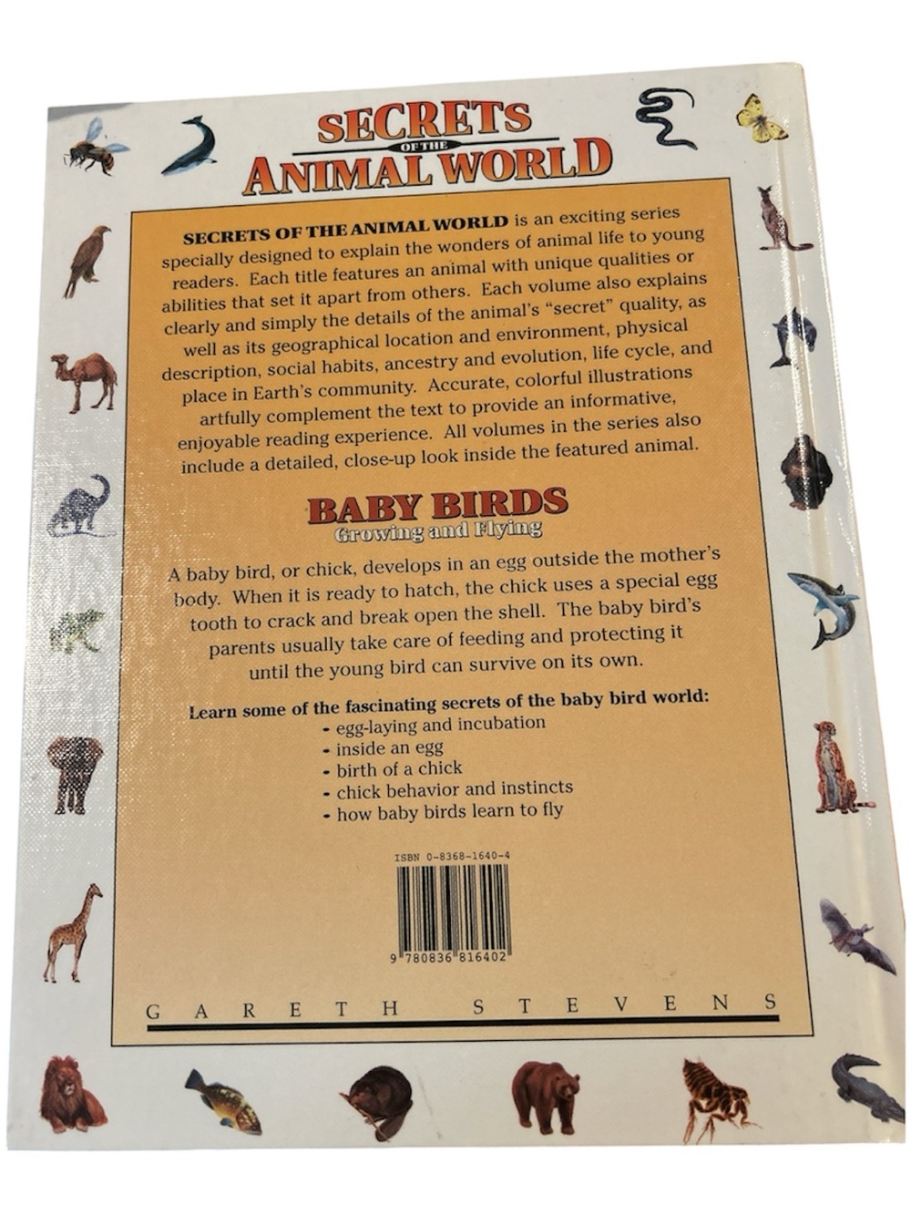 Secrets of the Animal World: Baby Birds - Yellow Chick Hardcover - Picture 2 of 2
